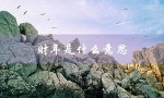 财年是什么意思（公司财年是什么）