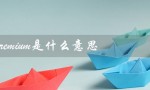 premium是什么意思（飞机premium的含义是什么）