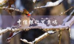 中信银行可靠吗（中信银行死期可靠吗）