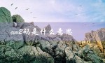 cvv2码是什么意思（什么是CVV2码）