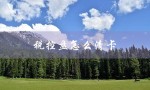 税控盘怎么清卡（如何清空UK税控盘）