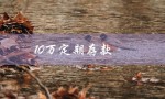 10万定期存款（10万存3年利息）