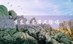 京东白条有风险吗（激活京东白条有风险吗）