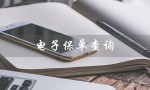 电子保单查询（电子保单查询车险吗）