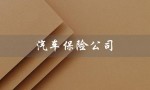 汽车保险公司（汽车保险公司查询方法）