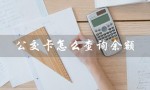 公交卡怎么查询余额（学生公交卡余额查询）