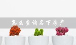 怎么查询名下房产（房产是否被冻结）