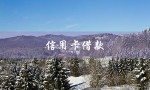 信用卡借款（信用卡借款怎么办）