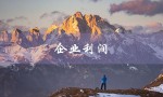 企业利润（企业利润税率）