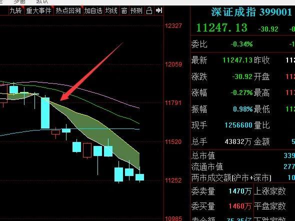 反抽和反弹的区别(反弹反抽反转的区别)