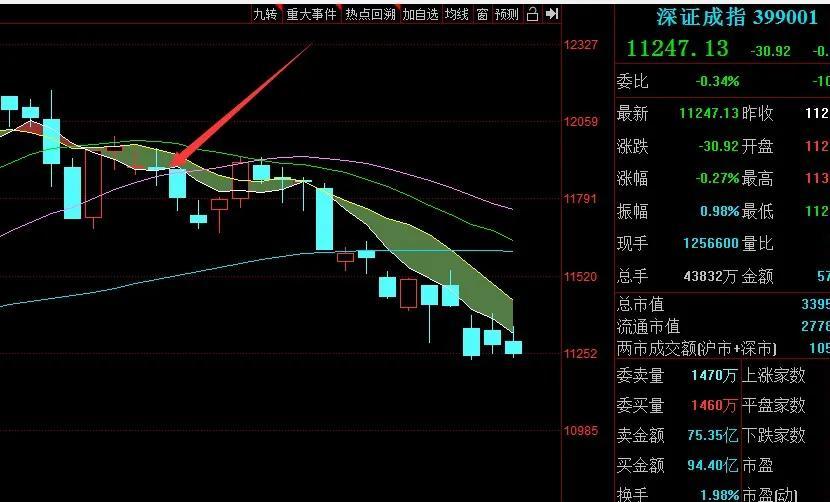 反抽和反弹的区别(反弹反抽反转的区别)